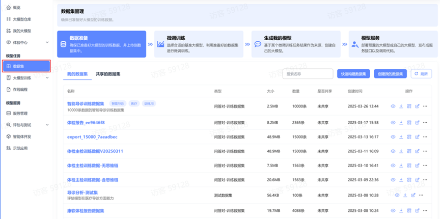 数据集列表界面